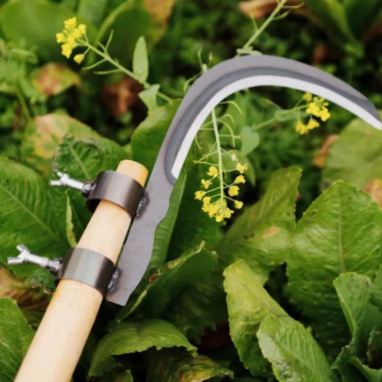 AgroTool, Tăietor de Crengi, Buruieni, Spini și Vegetație - Image 10