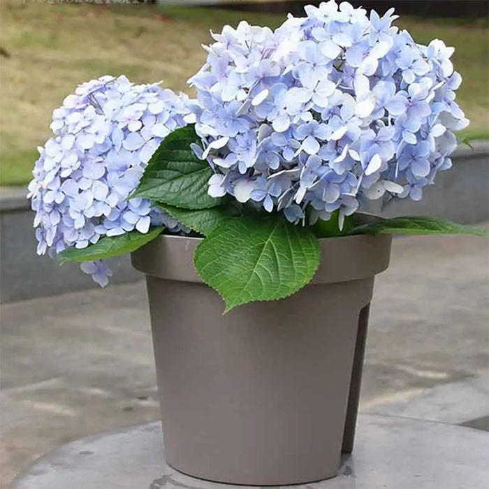 BalconyPots, ghivece pentru flori de balcon (2 bucăți) - Image 4