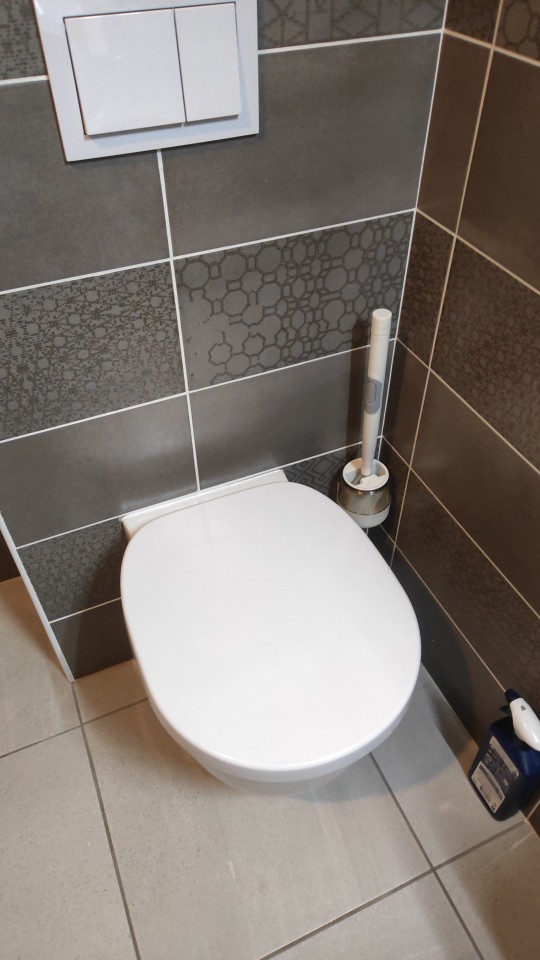 BestBrush, peria de toaletă revoluționară cu un buton pentru dozarea detergentului - Image 10