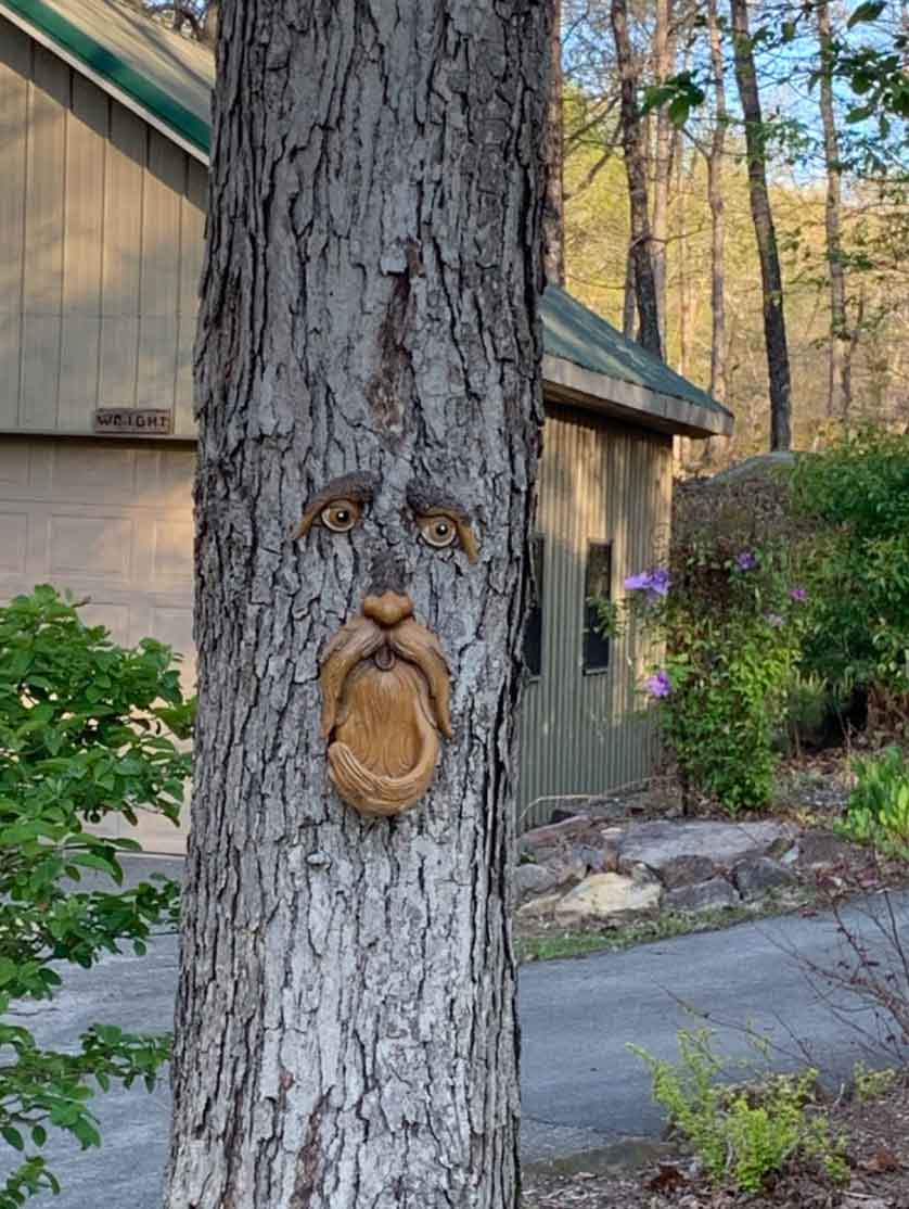 BirdFeeder, o decorațiune de copac în forma unei fețe care este și un hrănitor pentru păsări - Image 8