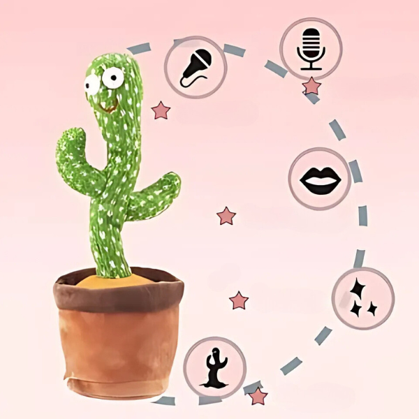 CACTUS, Cactus dansator - Image 7