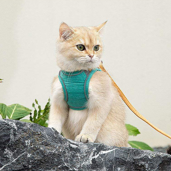 CatVest, lesă cu ham pentru pisică - Image 3