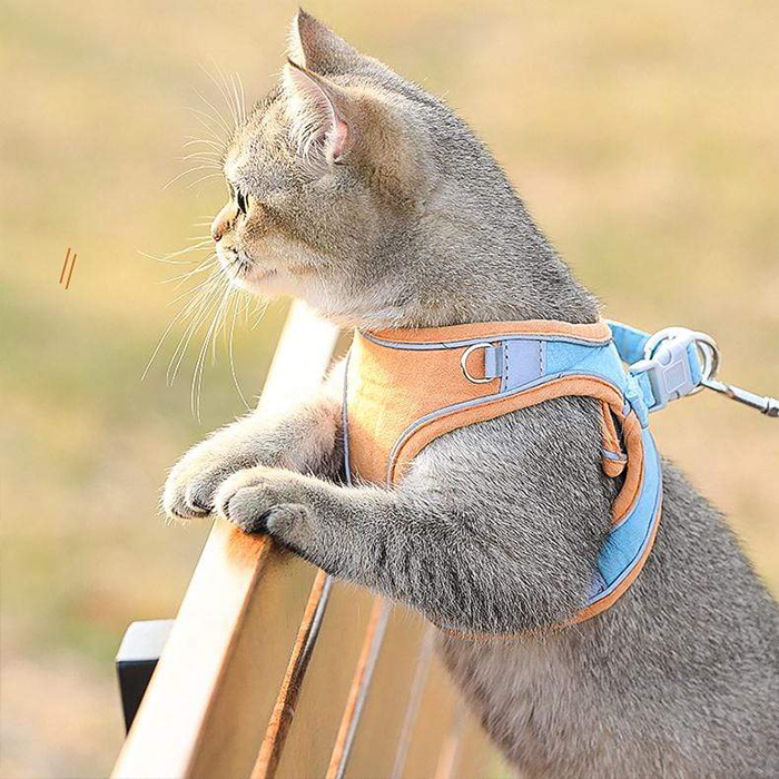 CatVest, lesă cu ham pentru pisică - Image 4