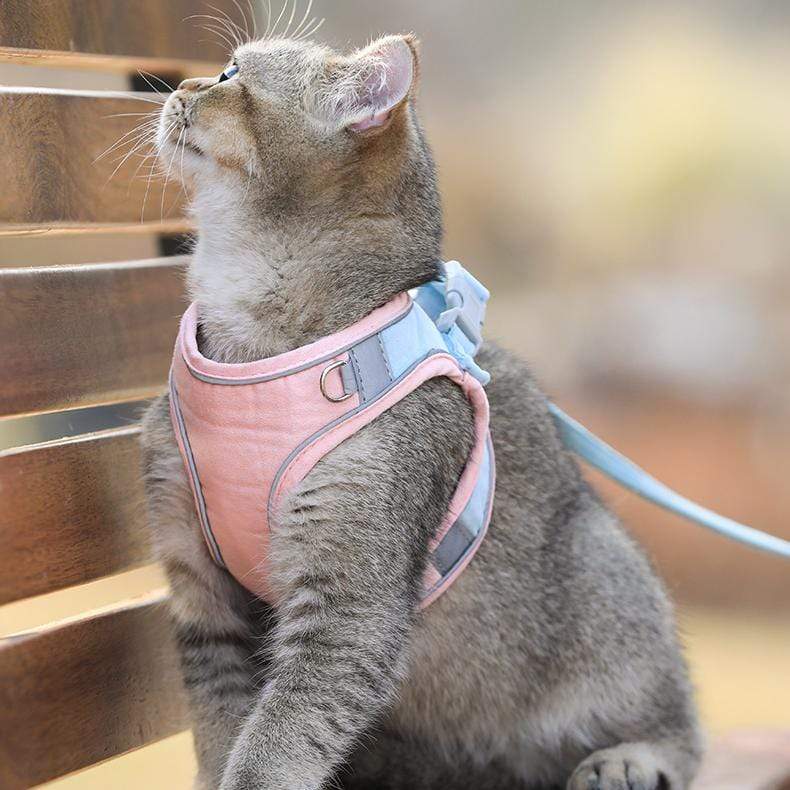 CatVest, lesă cu ham pentru pisică - Image 5