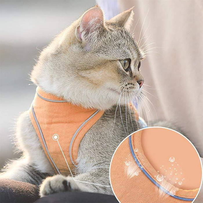 CatVest, lesă cu ham pentru pisică - Image 9
