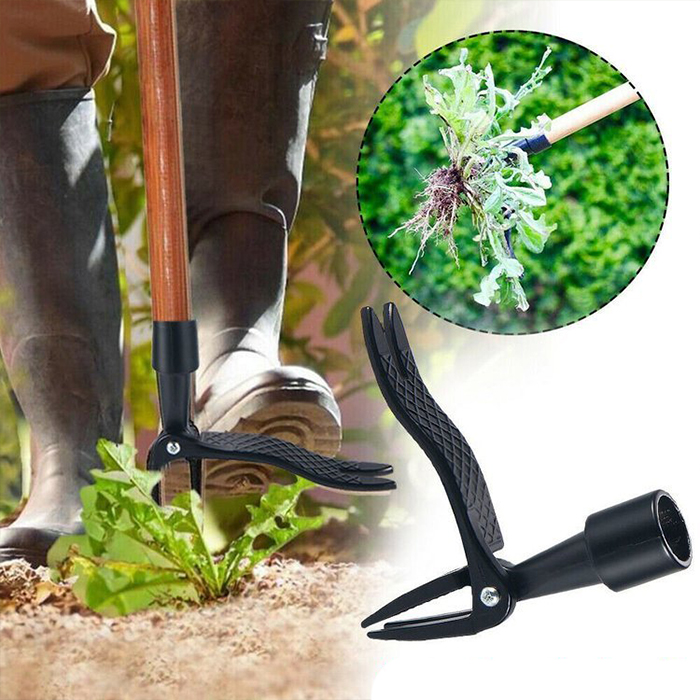 ClawWeeder, un instrument pentru îndepărtarea buruienilor împreună cu rădăcinile - în timp ce stați în picioare! - Image 8