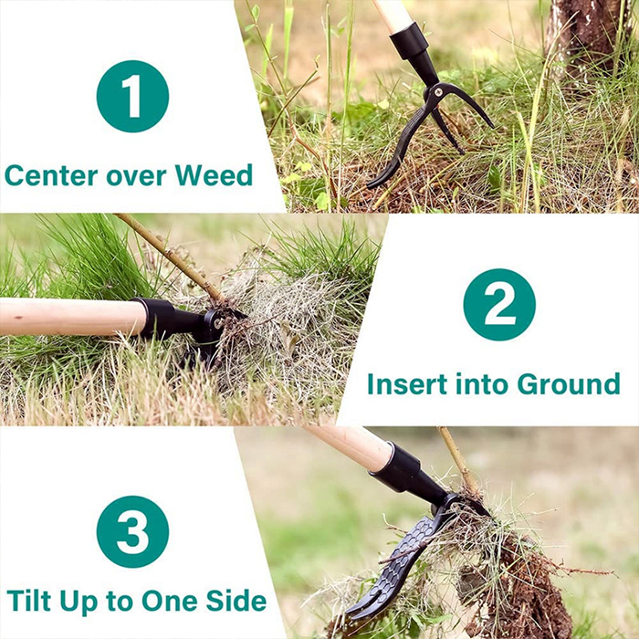 ClawWeeder, un instrument pentru îndepărtarea buruienilor împreună cu rădăcinile - în timp ce stați în picioare! - Image 10
