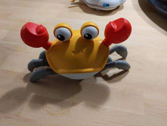 CrawlingCrab
