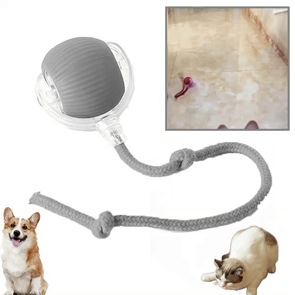 DOGTOY, ChewiePlay mingea interactivă - video