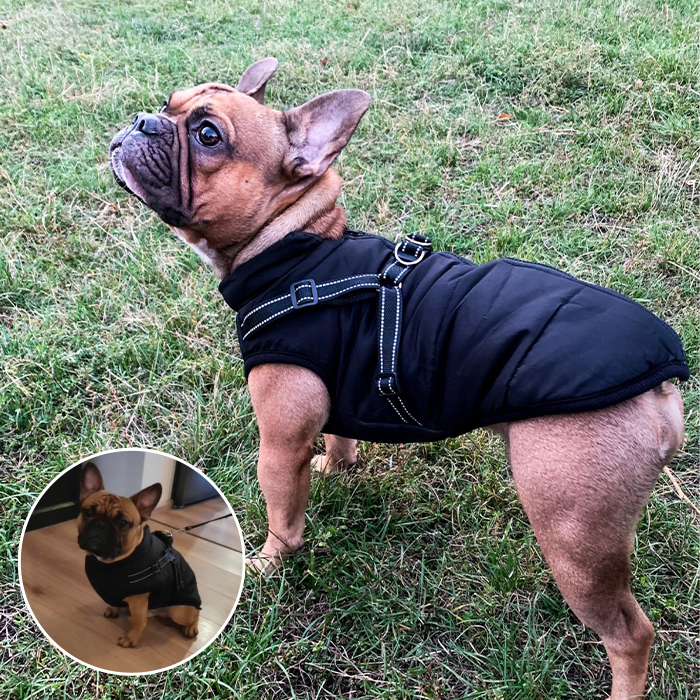 DogJacket, haină de iarnă reflectorizantă și impermeabilă pentru câini - Image 6