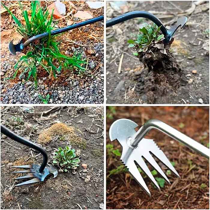 Îndepărtarea buruienilor din grădina ta!