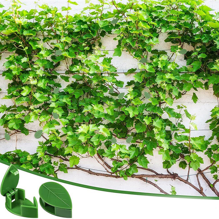 FixtureClips, set de suporturi autoadezive pentru ramurile plantelor - fără găurire! (10 buc + 10 buc GRATUITE) - Image 4