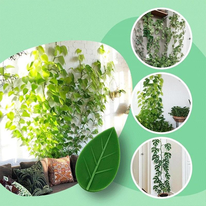 FixtureClips, set de suporturi autoadezive pentru ramurile plantelor - fără găurire! (10 buc + 10 buc GRATUITE) - Image 6