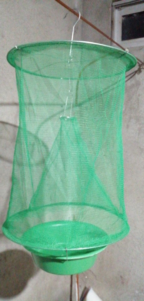 FlyCatcher, o plasă pentru prinderea insectelor și gândacilor - Image 8