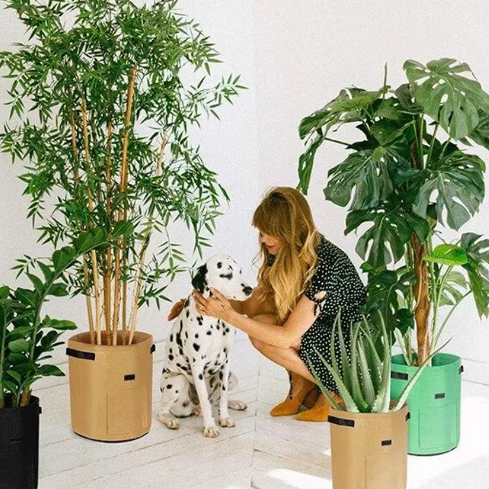 FoldingGarden, suport de grădină portabil, din material textil de 26 L - Image 3
