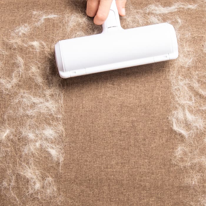 FurRemover, o rolă reutilizabilă pentru îndepărtarea părului - Image 10