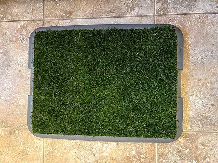 GrassMat, covoraș cu aspect de iarbă naturală - Image 9