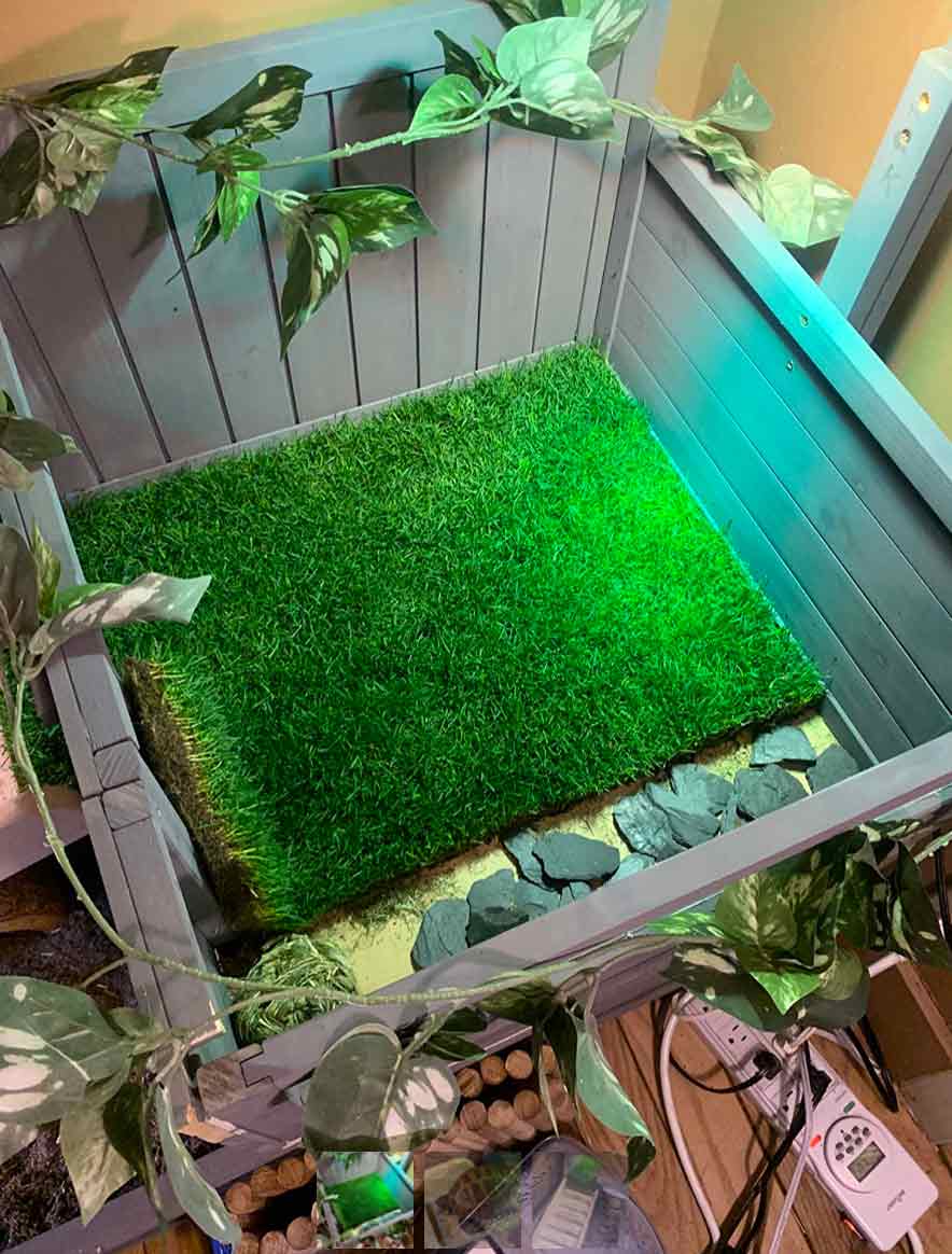GrassMat, covoraș cu aspect de iarbă naturală - Image 10
