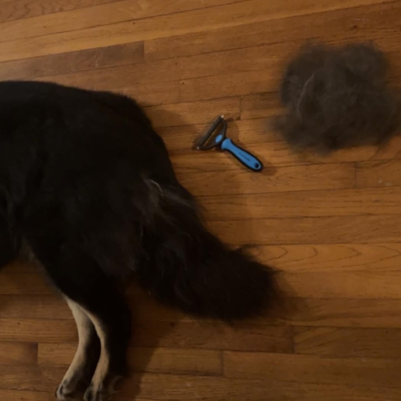 KnotBundle, mașină de tuns părul pentru animale (1+1 GRATIS) și perie DUO pentru îndepărtarea părului de animale - Image 2