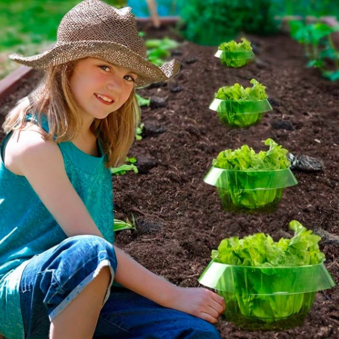 LettuceProtect, protecție pentru salată și alte culturi (10 bucăți) - Image 7