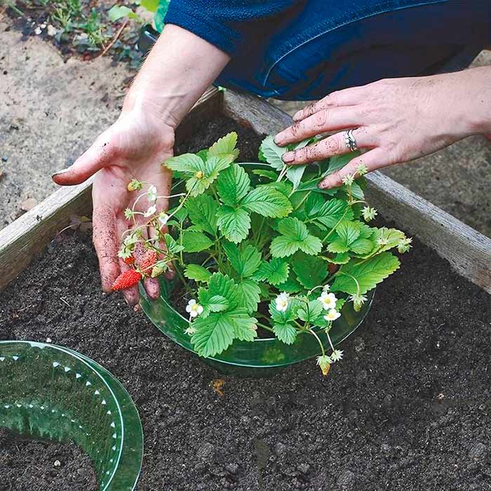 Materialele sustenabile asigură o utilizare de lungă durată!