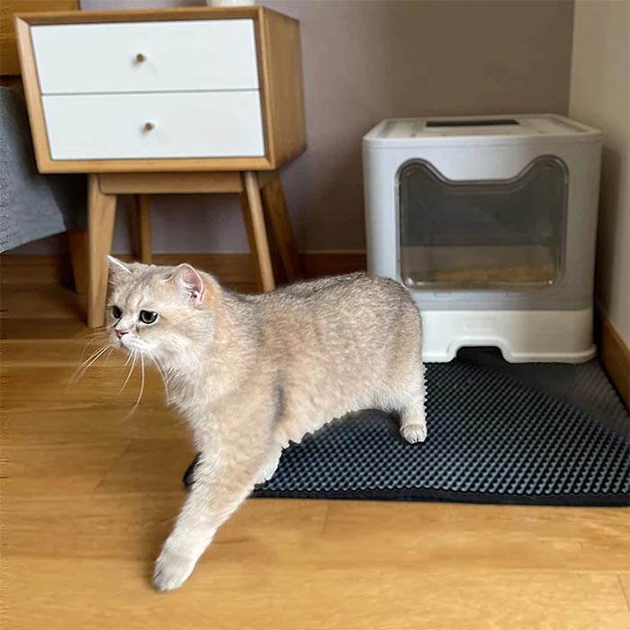 LitterMat, covoraș pentru pisici care colectează nisipul - Image 2
