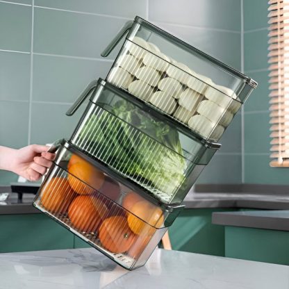ORGADISH-TST, Organizator transparent pentru alimente - Image 2