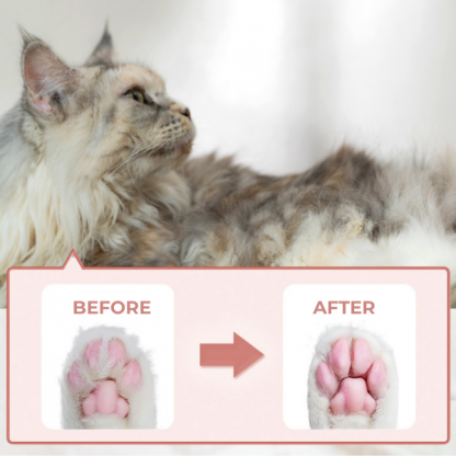 PAWTREAMER, PawPerfect Mini Tăietor pentru Pisici și Câini - Image 4