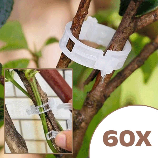 PLANTCLIP, GreenGrow Suport pentru Plante - 60 Clipsuri - video