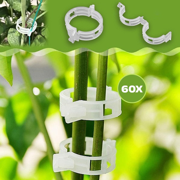 PLANTCLIP, GreenGrow Suport pentru Plante - 60 Clipsuri - Image 5