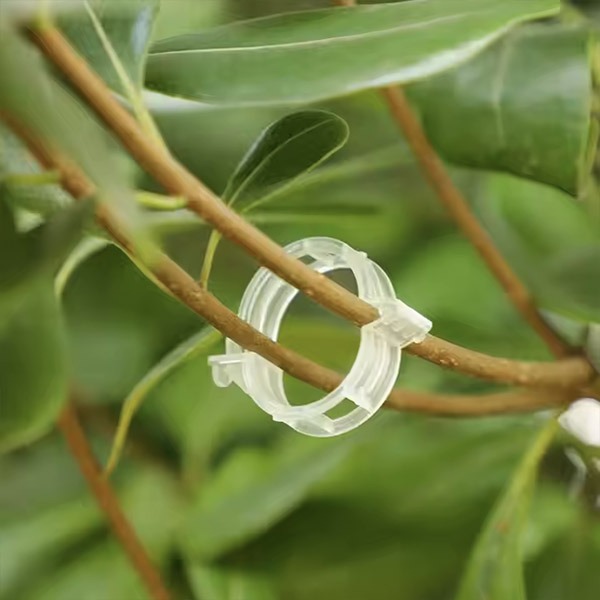 PLANTCLIP, GreenGrow Suport pentru Plante - 60 Clipsuri - Image 6