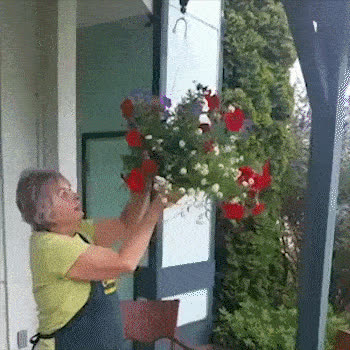 PullGarden, set de 2 cârlige pentru agățat plante cu curea elastică - video