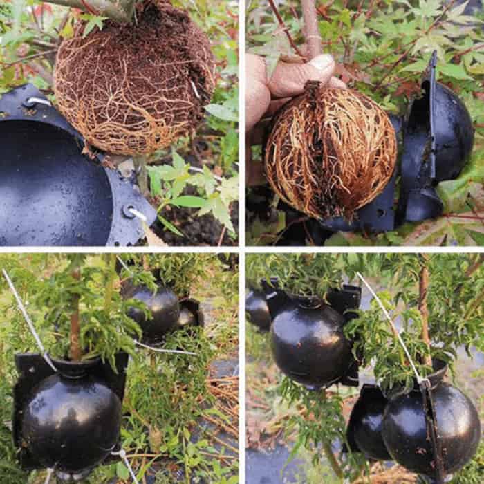 RootBall, dispozitive pentru germinarea cu succes a plantelor (2 bucăți) - Image 5