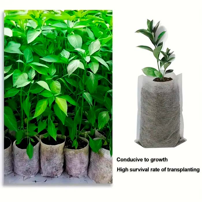 SeedBags, pungi biodegradabile pentru plantare și creșterea plantelor (100 buc) - Image 4