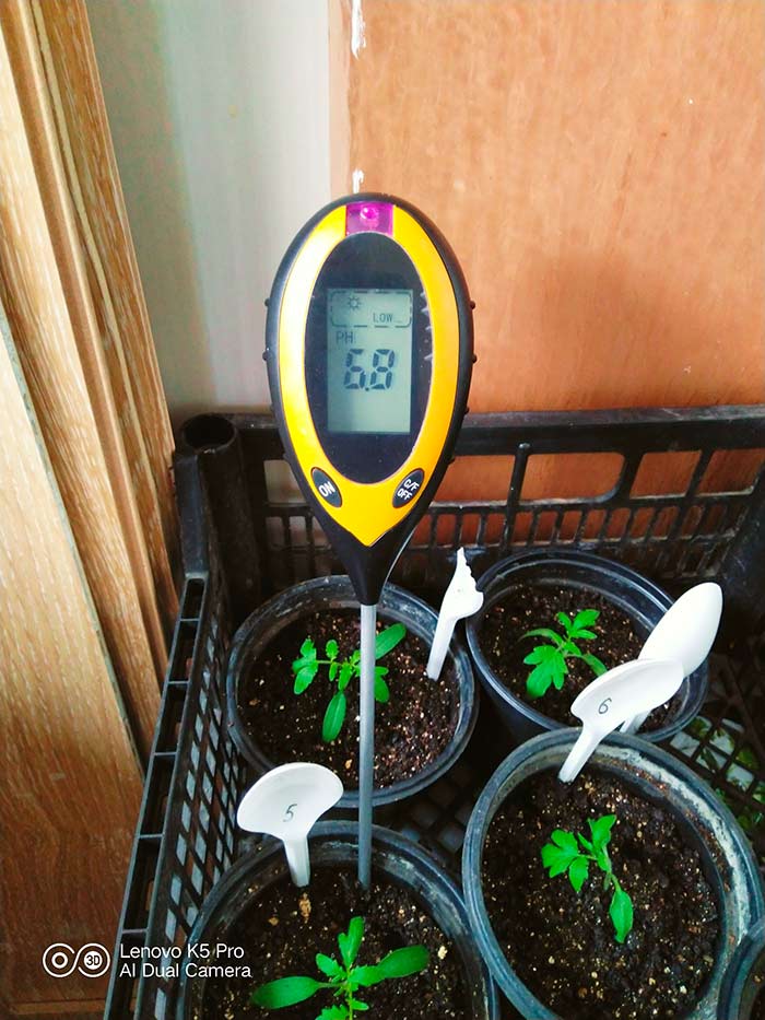 SoilMeter, tester pentru sol 4 în 1 - Image 10