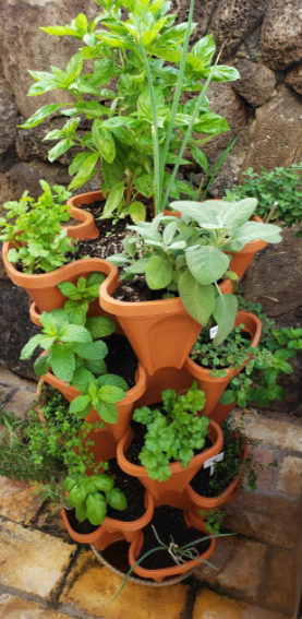 StandPots, set de 2 ghivece pentru plantare în dipunere pe niveluri pentru toate tipurile de plante - Image 2