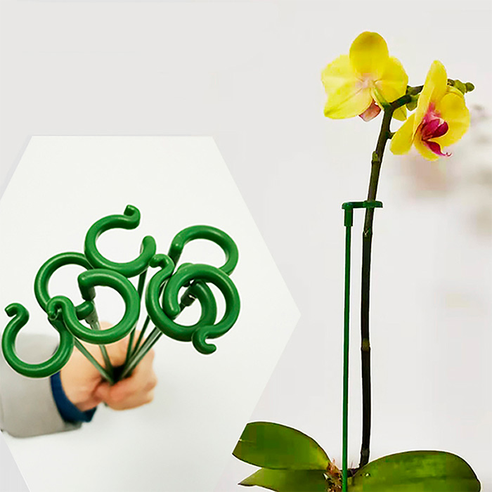 SupportPlant, suport de plante (10+10 GRATUIT) - Image 7