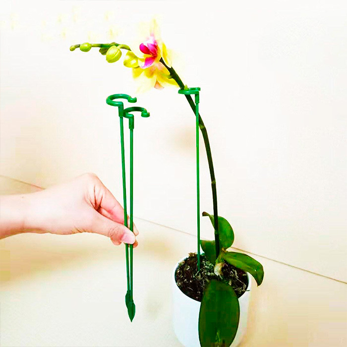 Te va ajuta să-ți crească plantele mai bine și mai sănătoase!