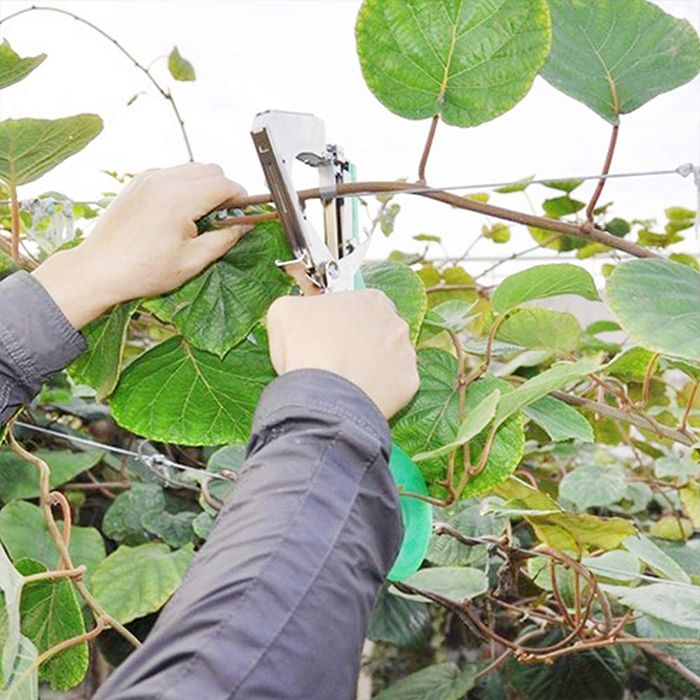 TapeTool, un instrument pentru legarea rapidă și eficientă a plantelor - Image 5