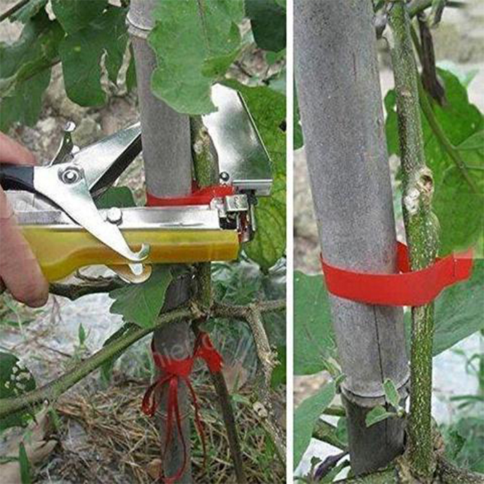 TapeTool, un instrument pentru legarea rapidă și eficientă a plantelor - Image 8